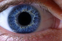 Eye close up